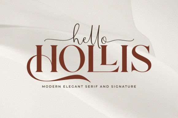 Hello Hollis: The Spectacular Duo That Elevates Every Design Project