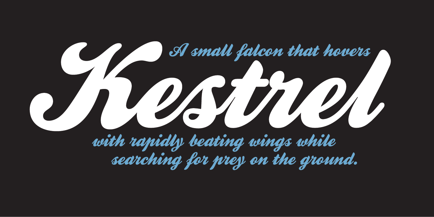 Kestrel Script: A Strategic Asset for Intentional Branding