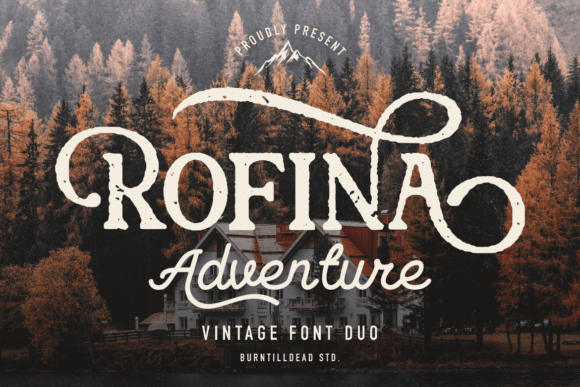 Rofina: A Balanced Font Duo for Modern Design